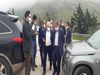 بازدید
